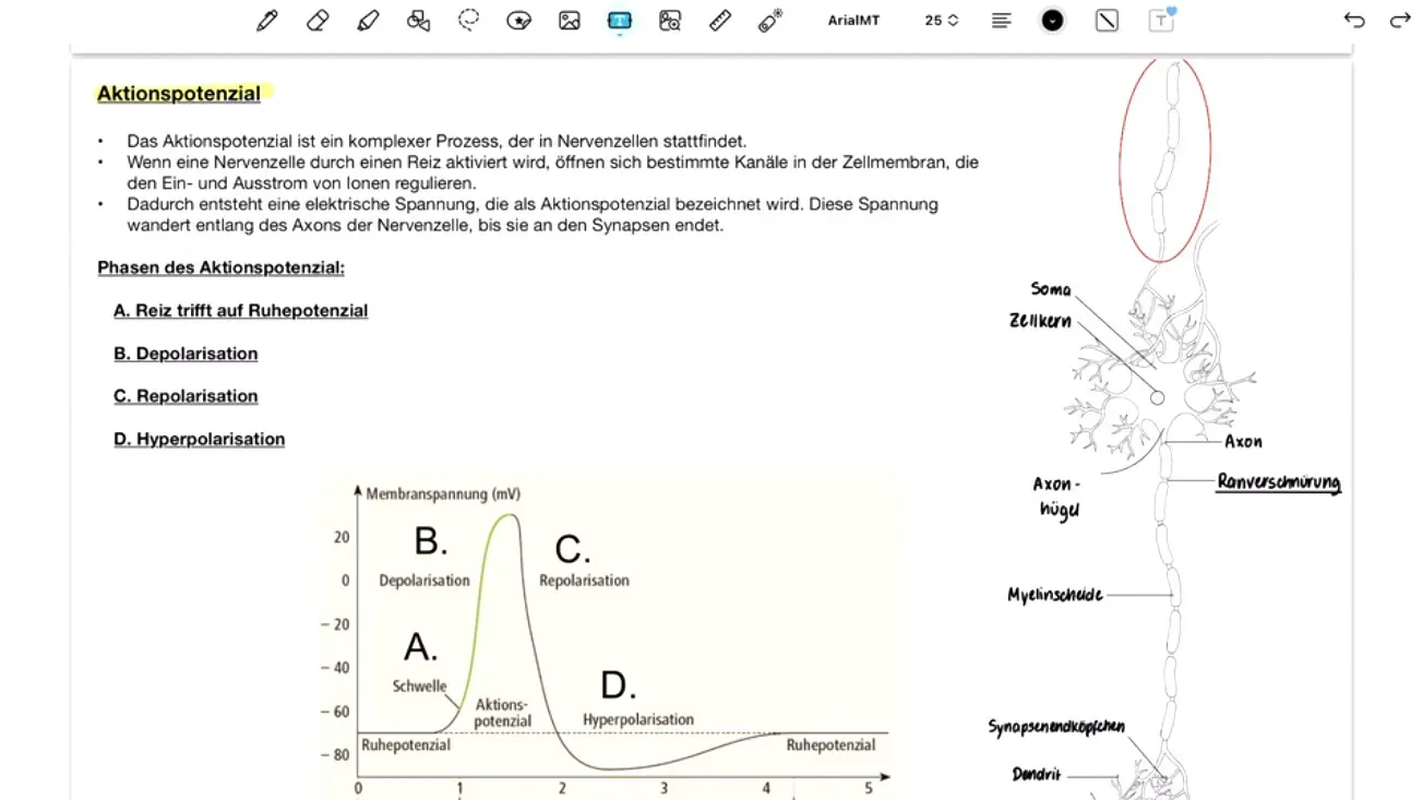 Panelde materyal indirme